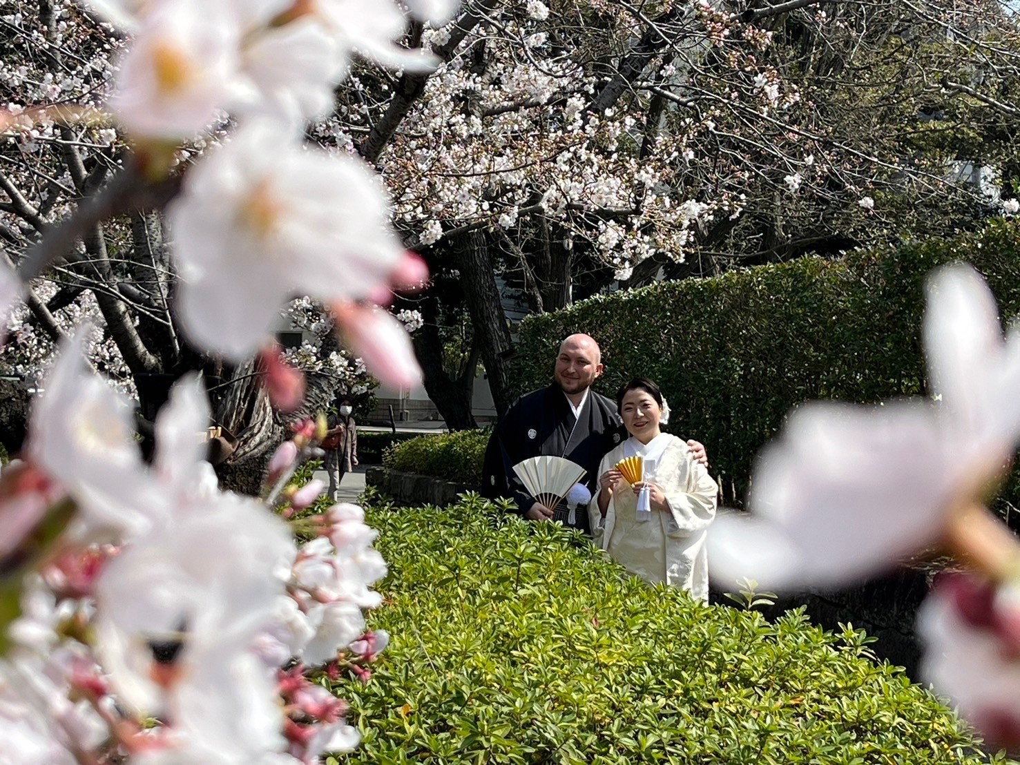 晴天に恵まれた桜挙式